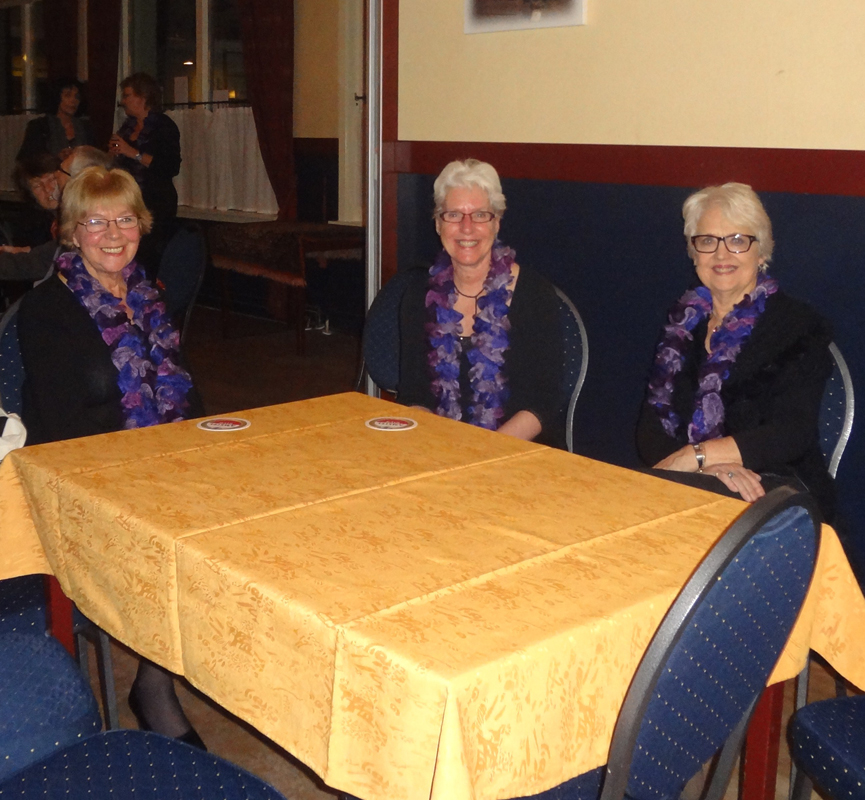 Optreden in Water en Vuurhuis op 19 januari – foto 12