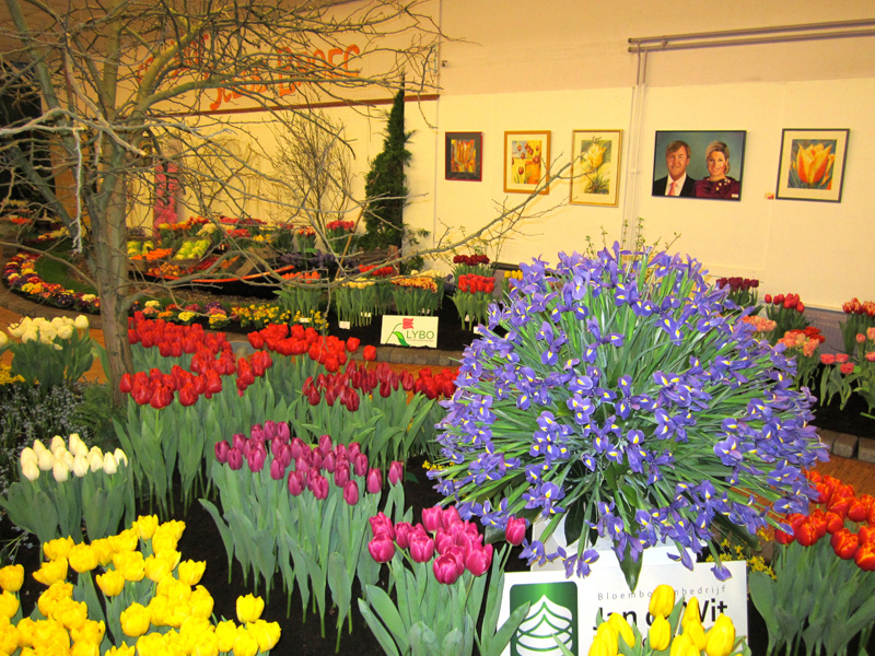 Miniflora Vereenigingsgebouw 2 maart 2014 – foto 40