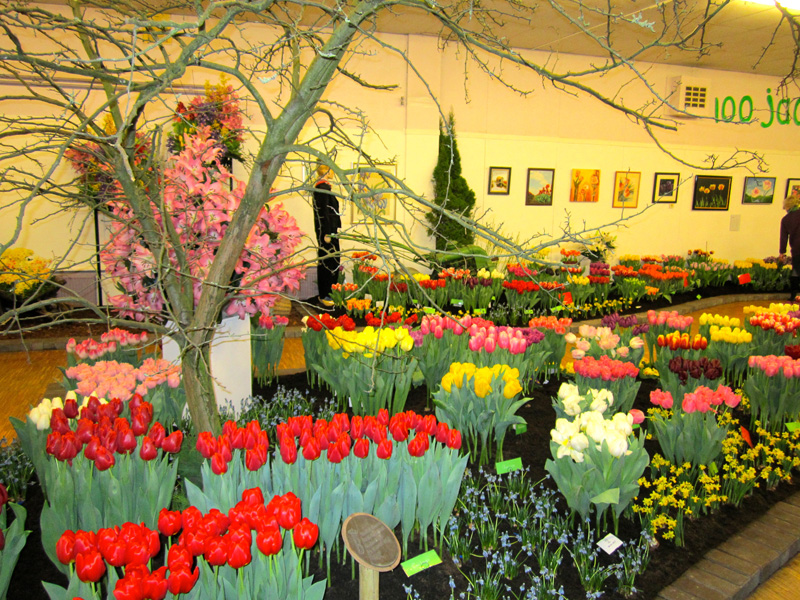 Miniflora Vereenigingsgebouw 2 maart 2014 – foto 41