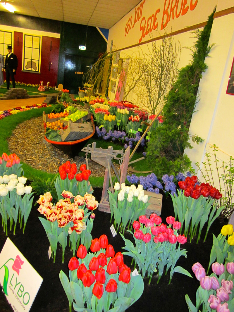 Miniflora Vereenigingsgebouw 2 maart 2014 – foto 42