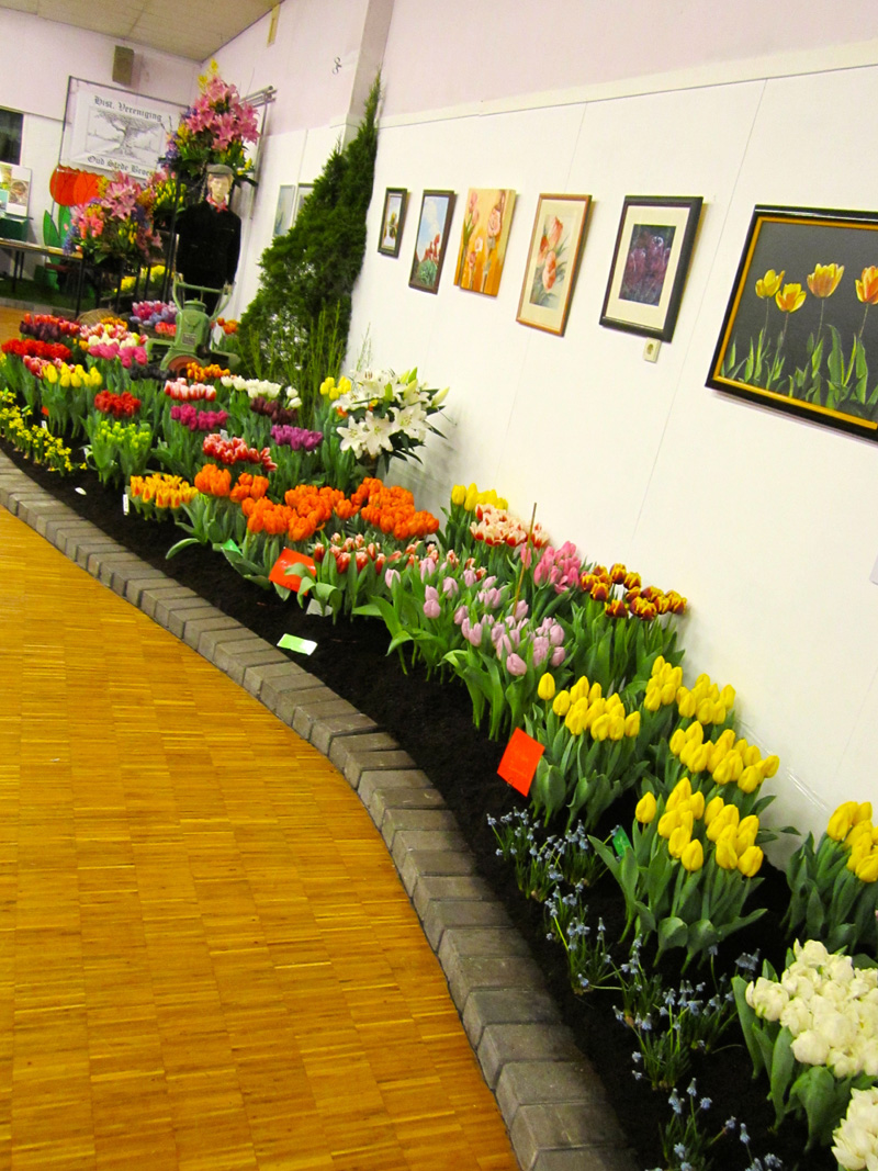 Miniflora Vereenigingsgebouw 2 maart 2014 – foto 45