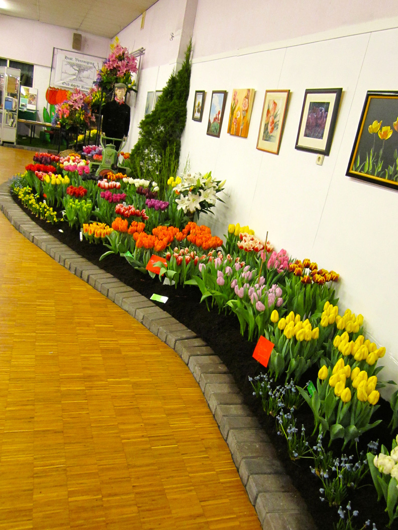 Miniflora Vereenigingsgebouw 2 maart 2014 – foto 46
