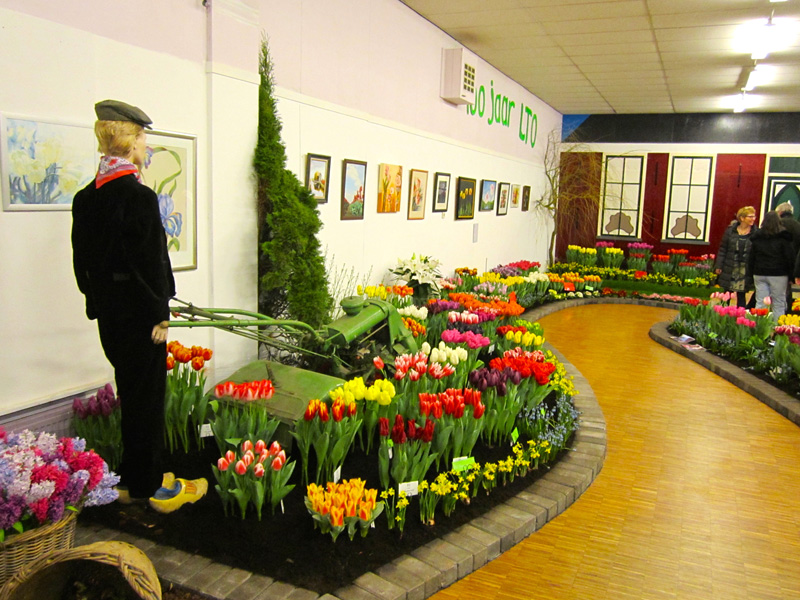 Miniflora Vereenigingsgebouw 2 maart 2014 – foto 48
