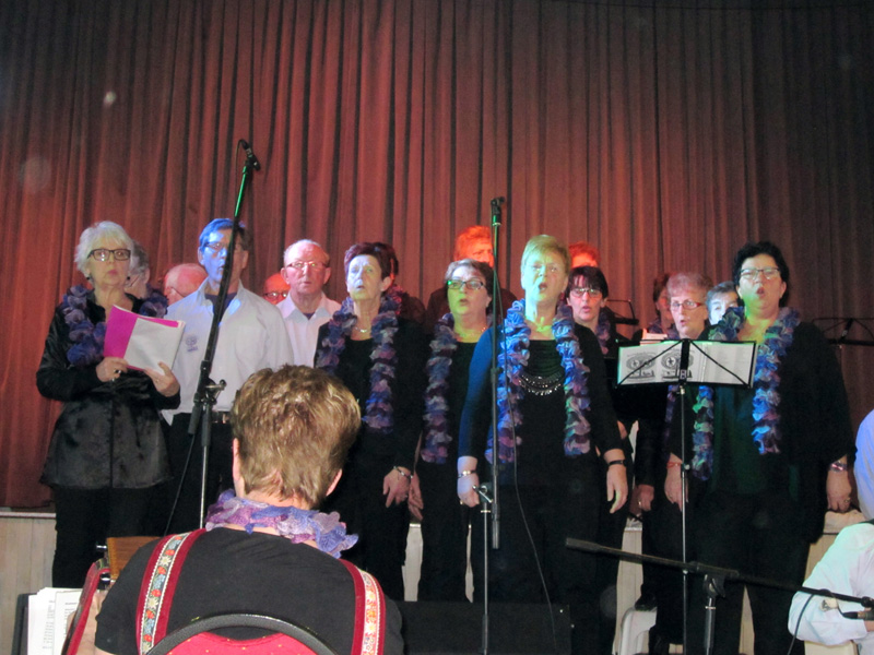 Trekzakenaccordeonfestival 9 maart 2014 – foto 11