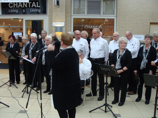 Optreden in het Streekhof – foto 7