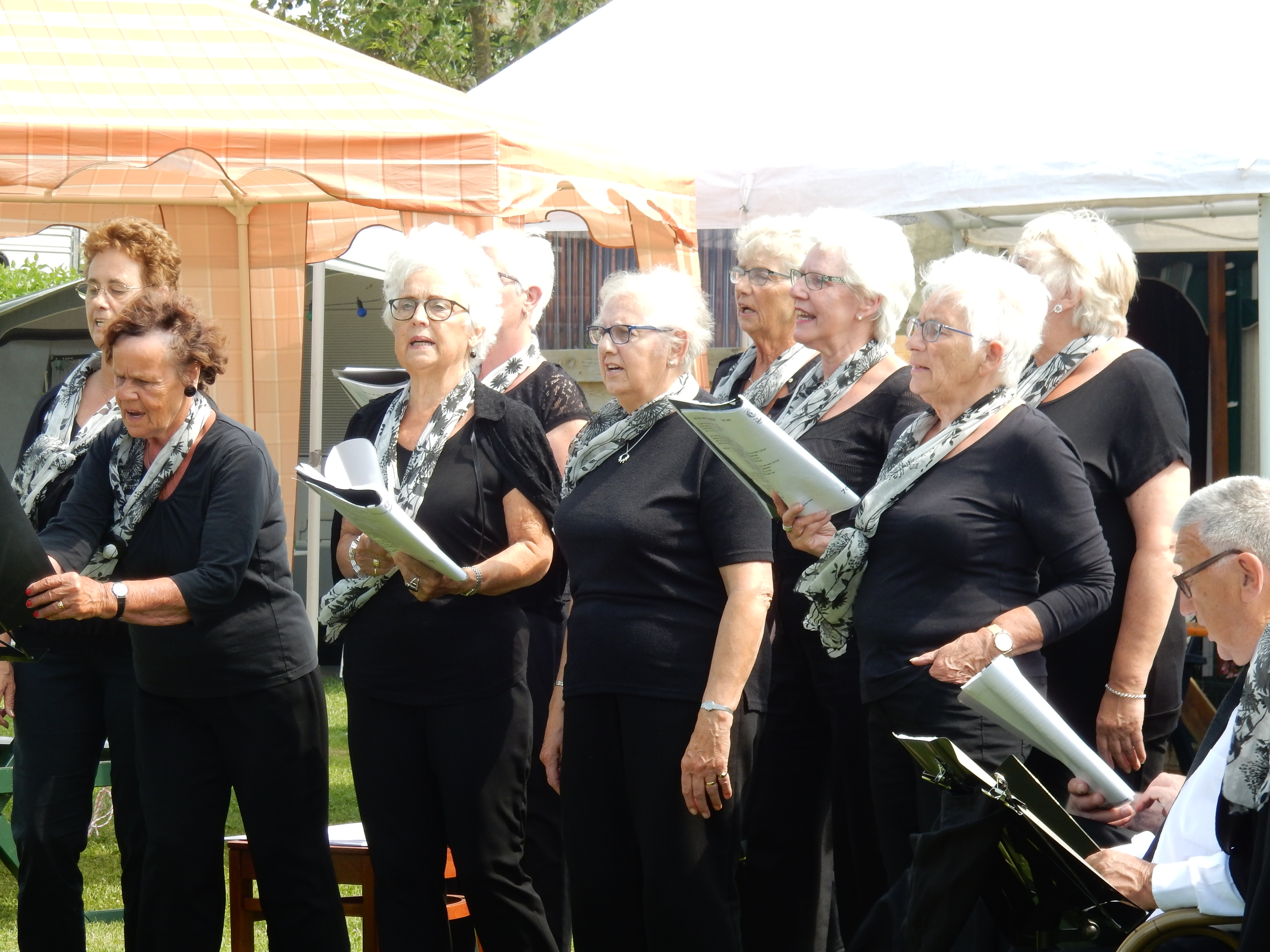 Gouwe Stek 2017 – foto 22