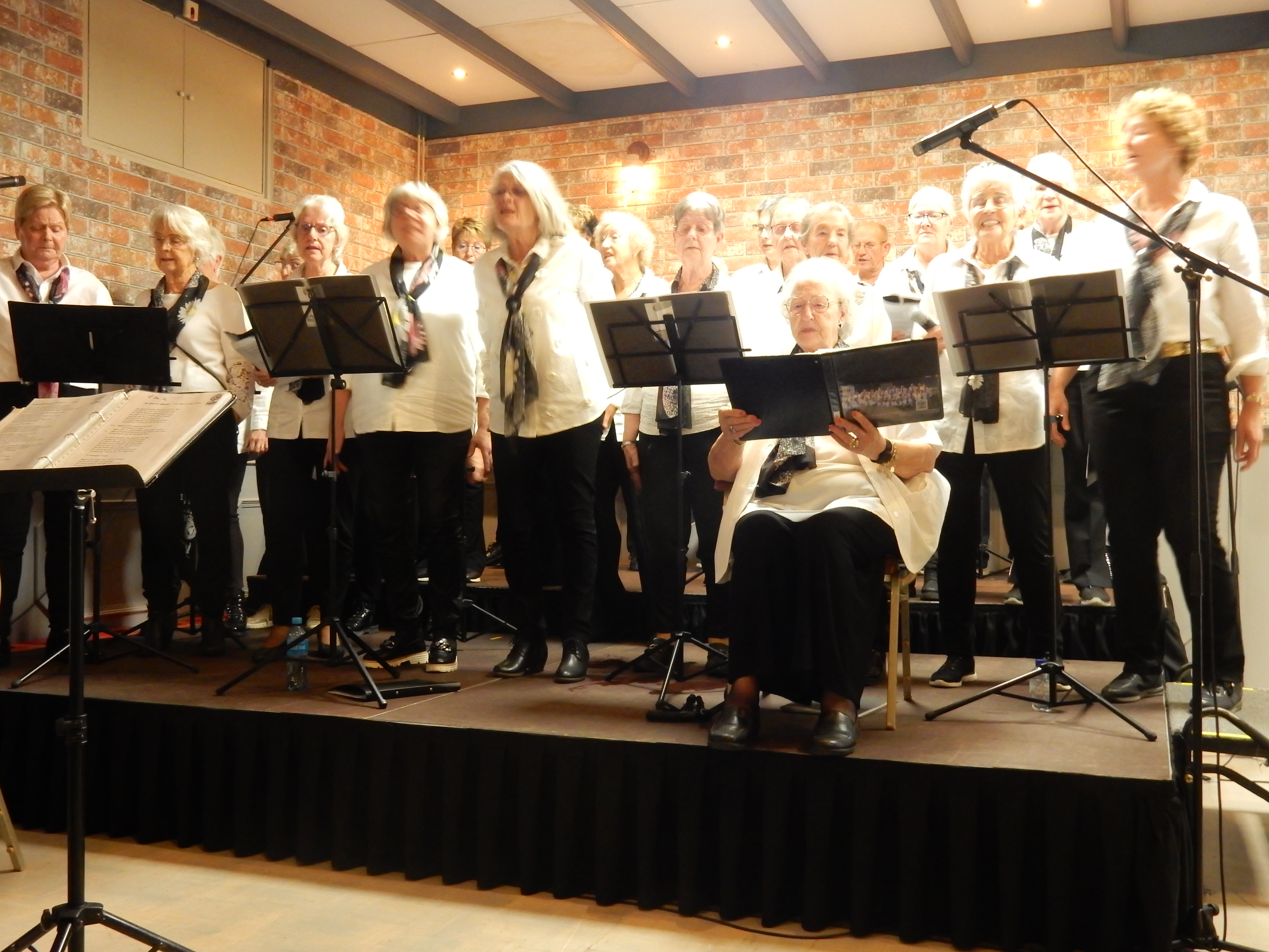 Festival 3 november 2024 – foto 12