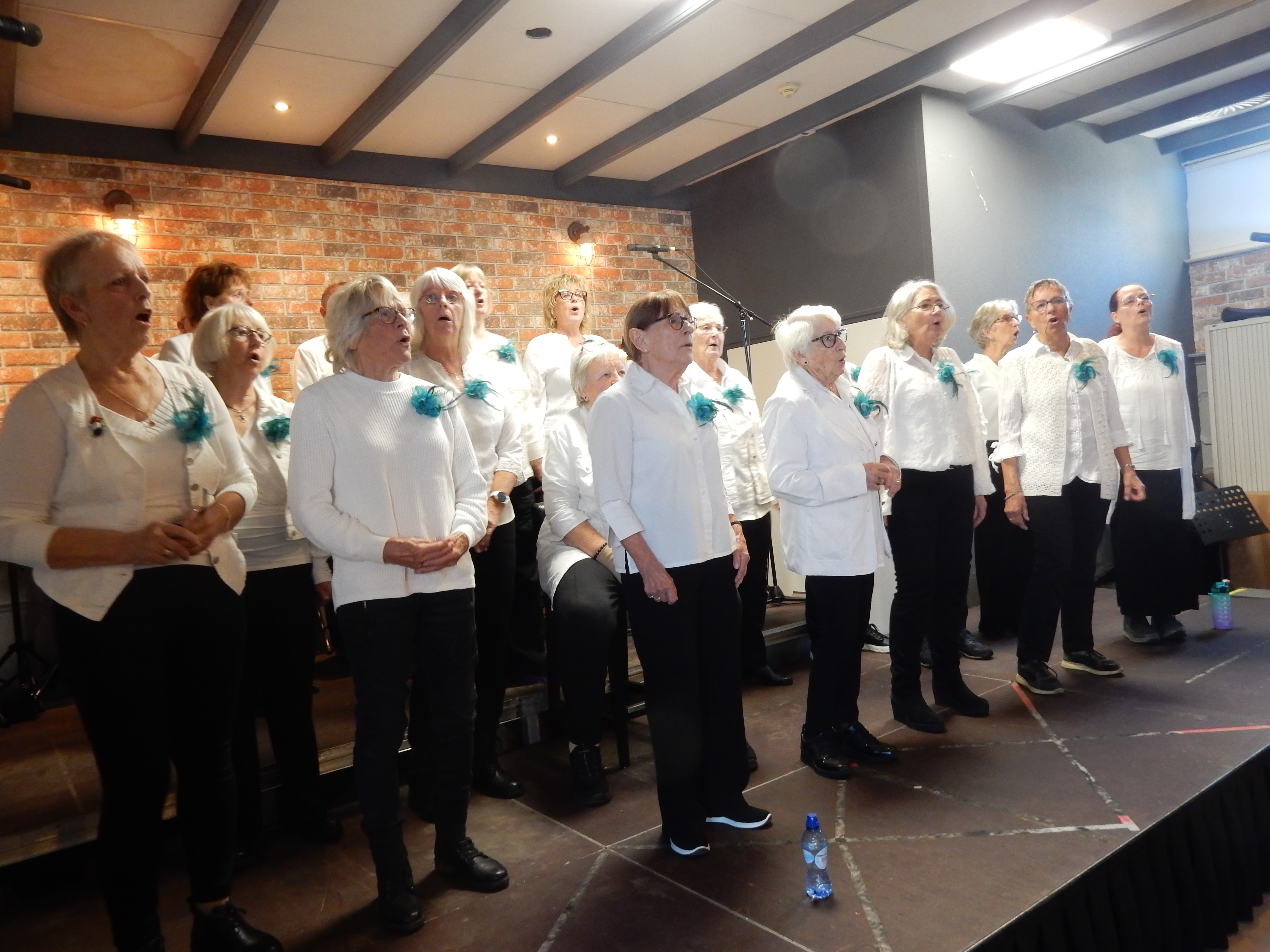 Festival 9 november 2025 – foto 11