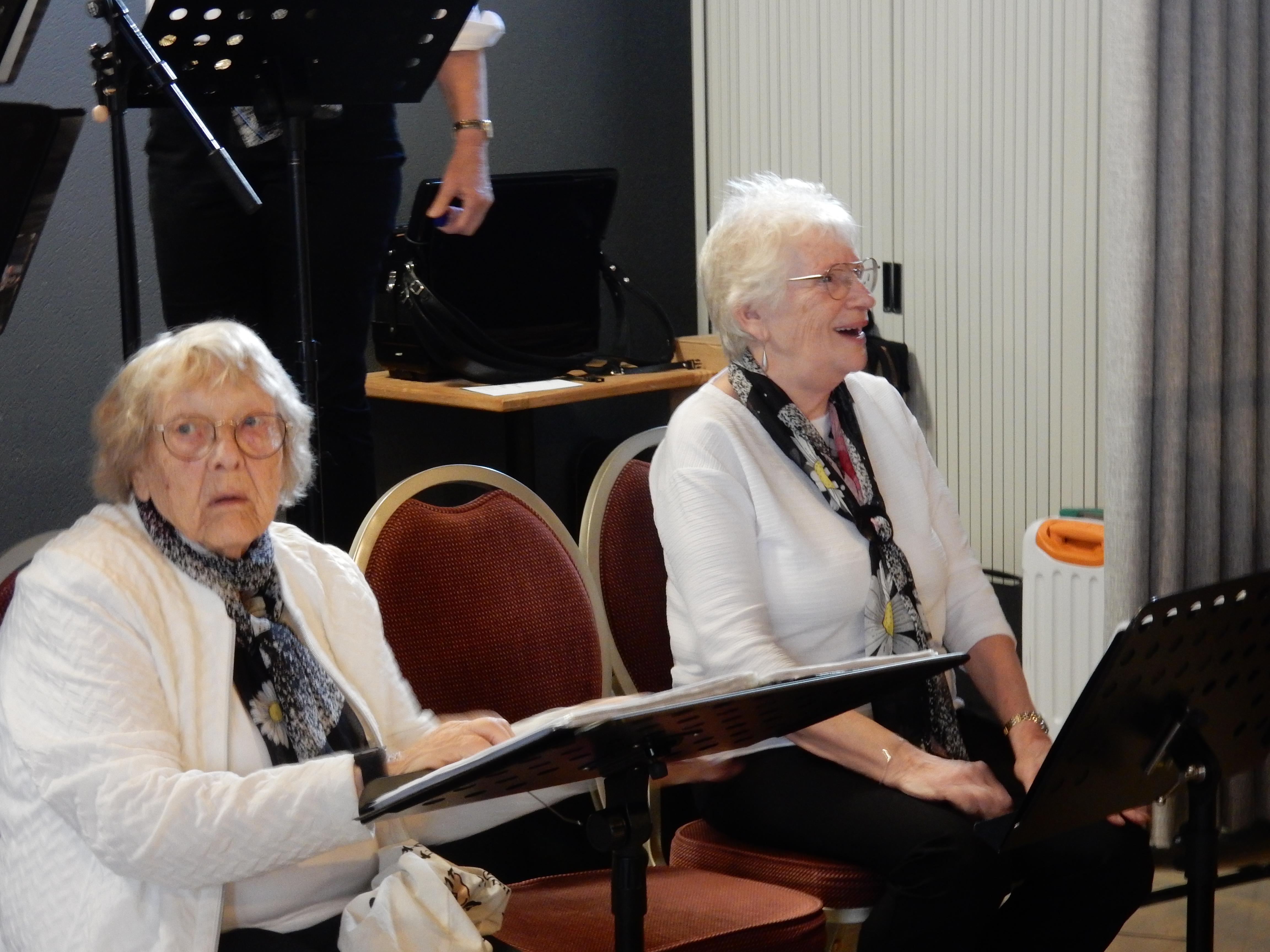 Festival 9 november 2025 – foto 15