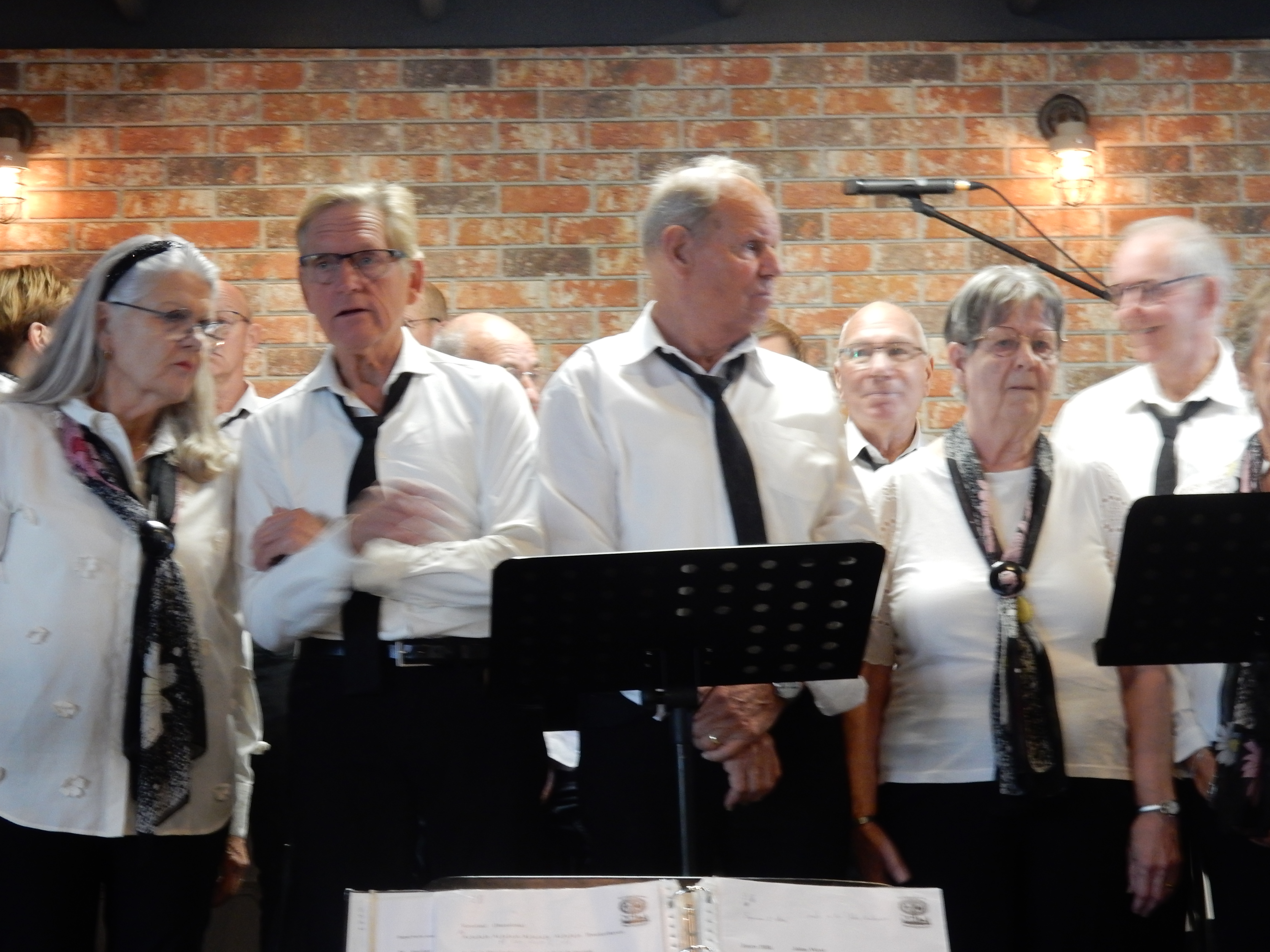 Festival 9 november 2025 – foto 17