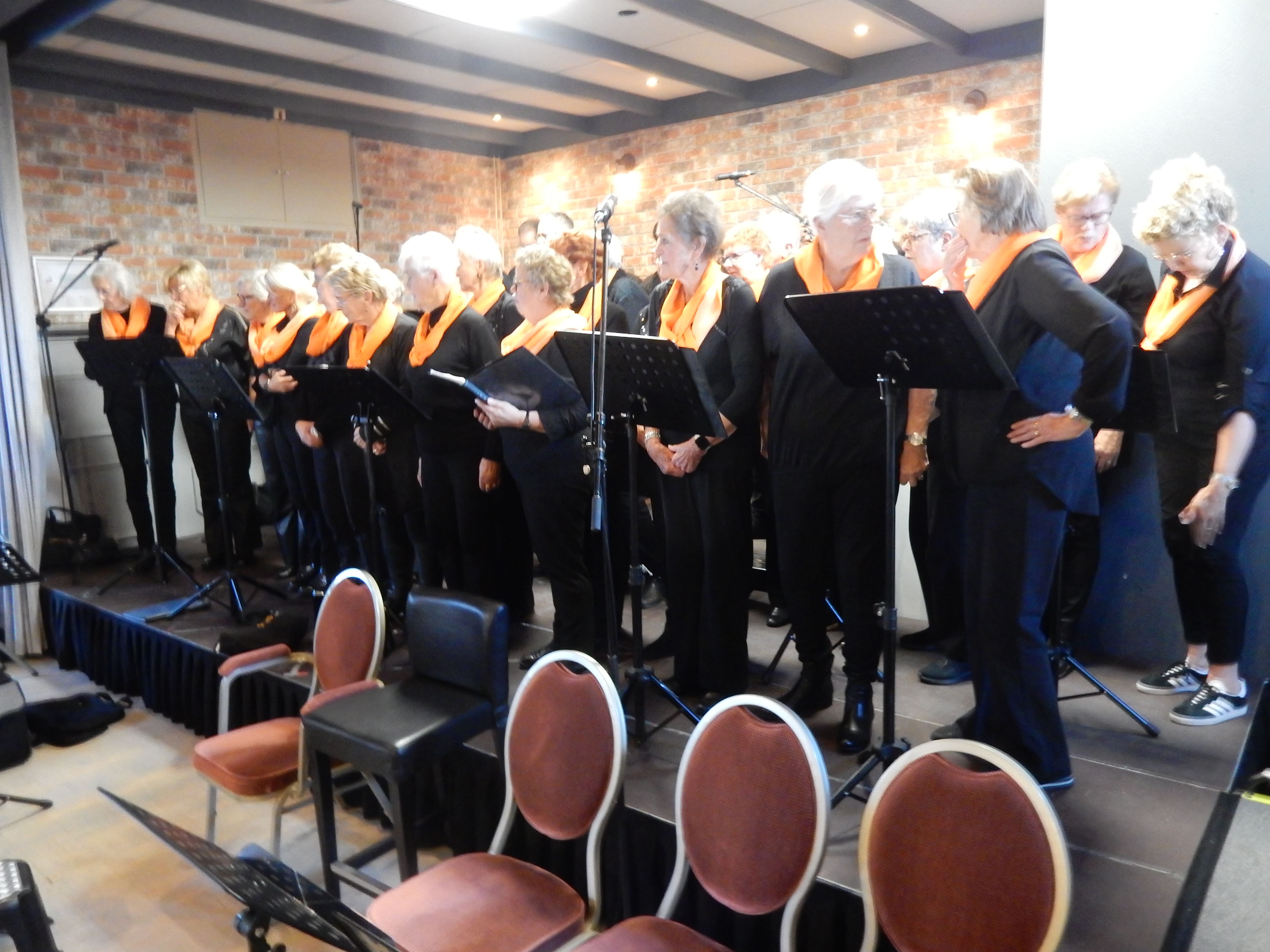 Festival 9 november 2025 – foto 26