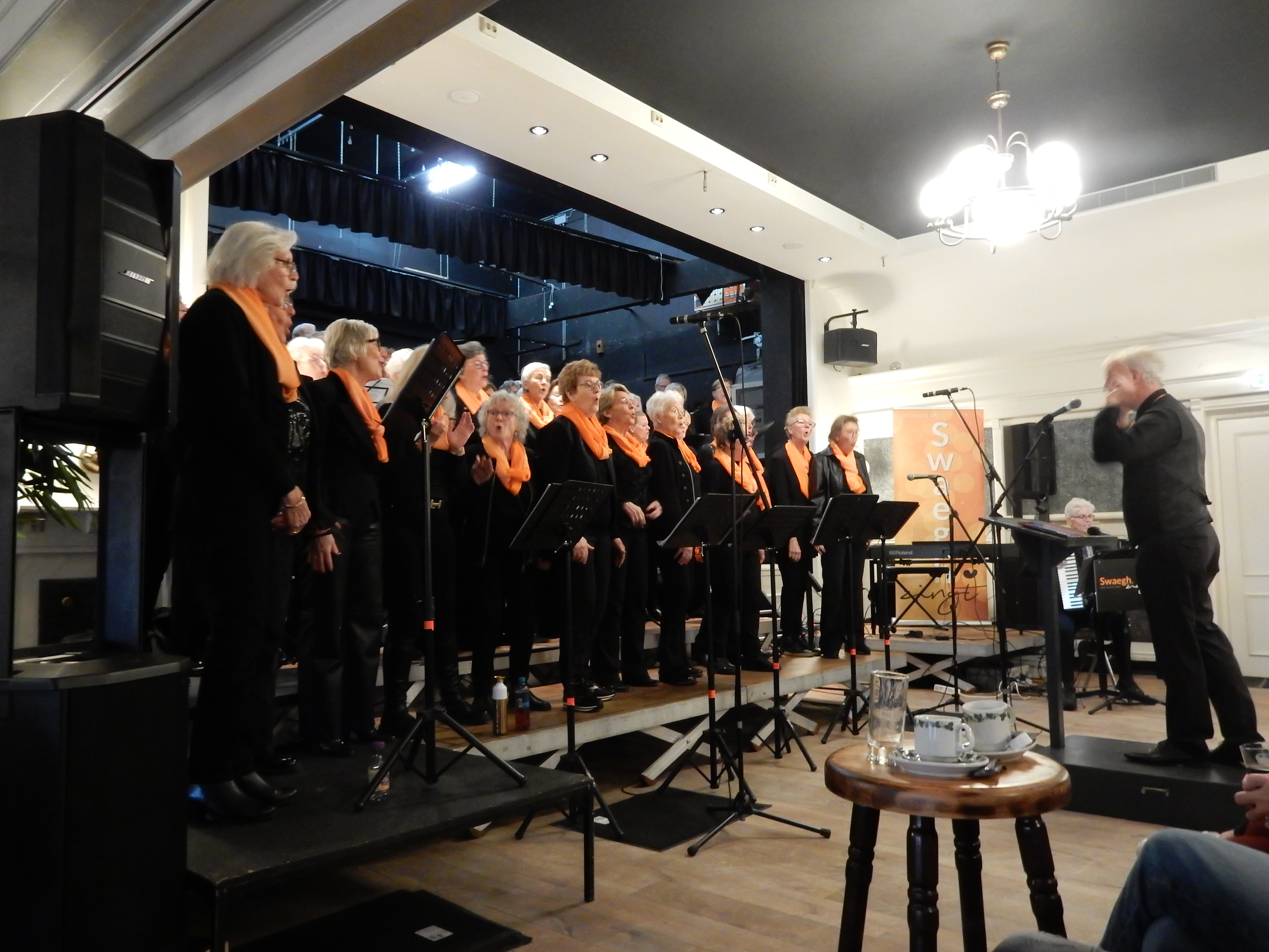 Optreden Festival Swaegh Zingt op 11 januari 2026 – foto 7