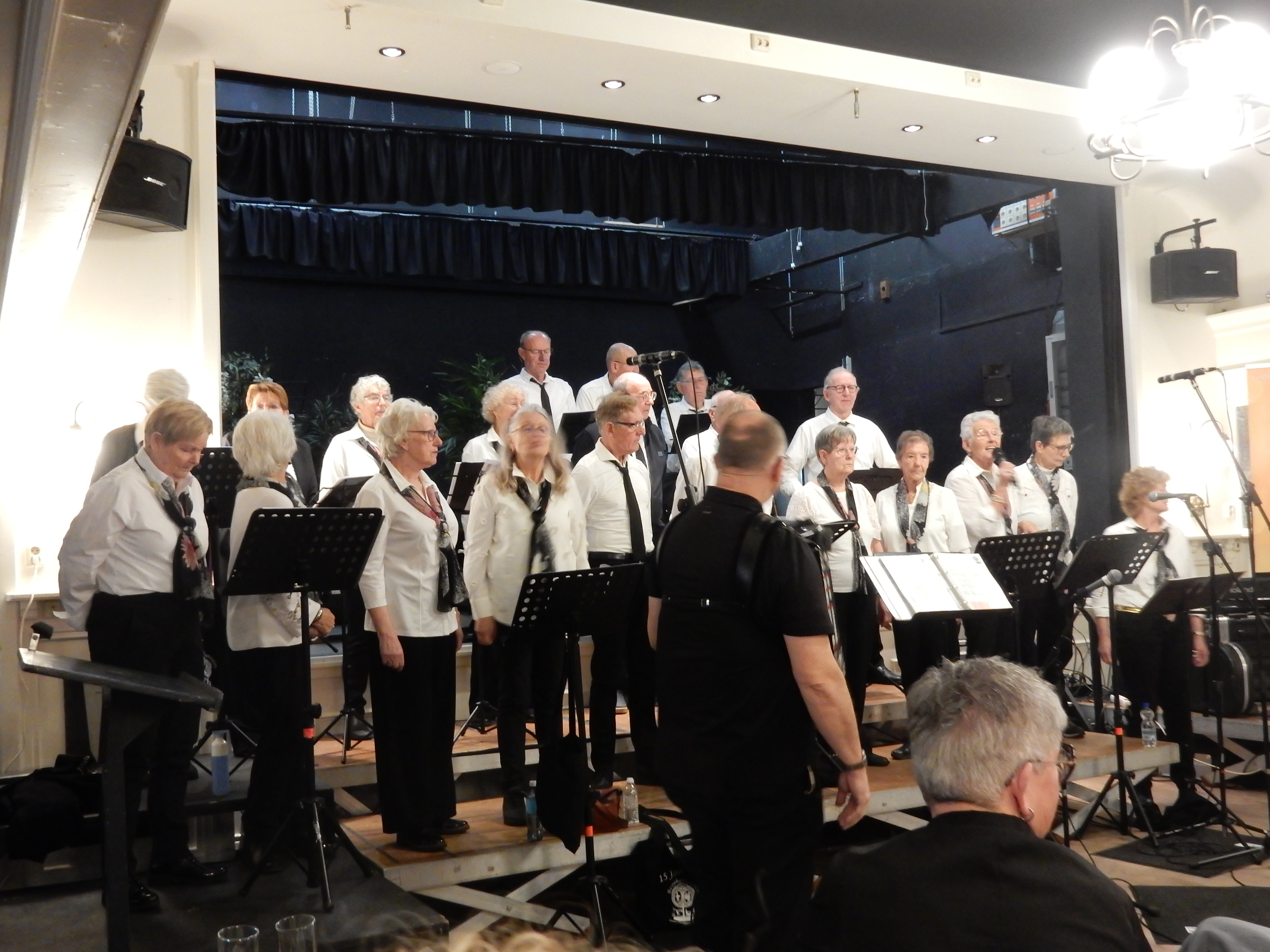 Optreden Festival Swaegh Zingt op 11 januari 2026 – foto 10