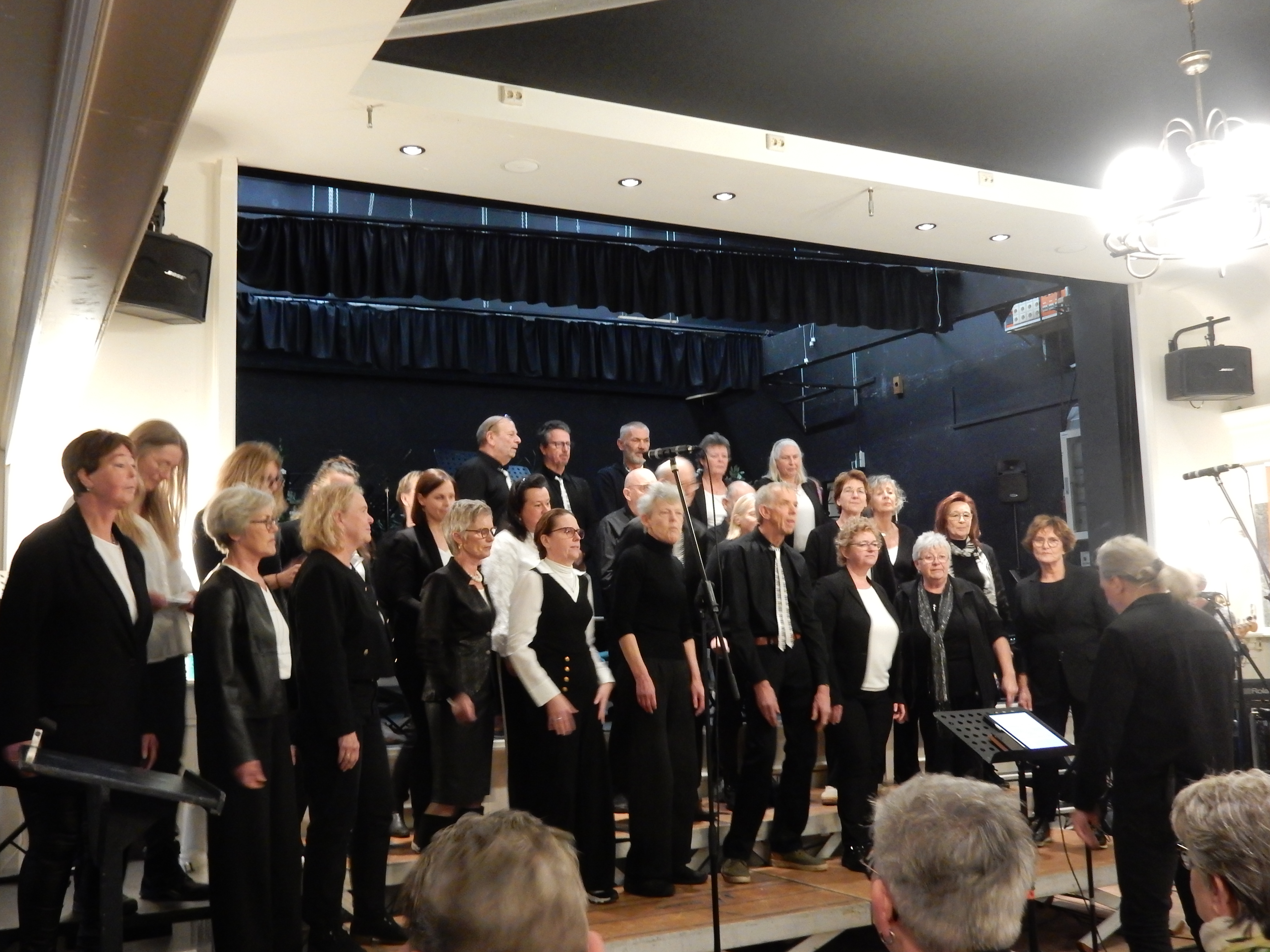 Optreden Festival Swaegh Zingt op 11 januari 2026 – foto 12