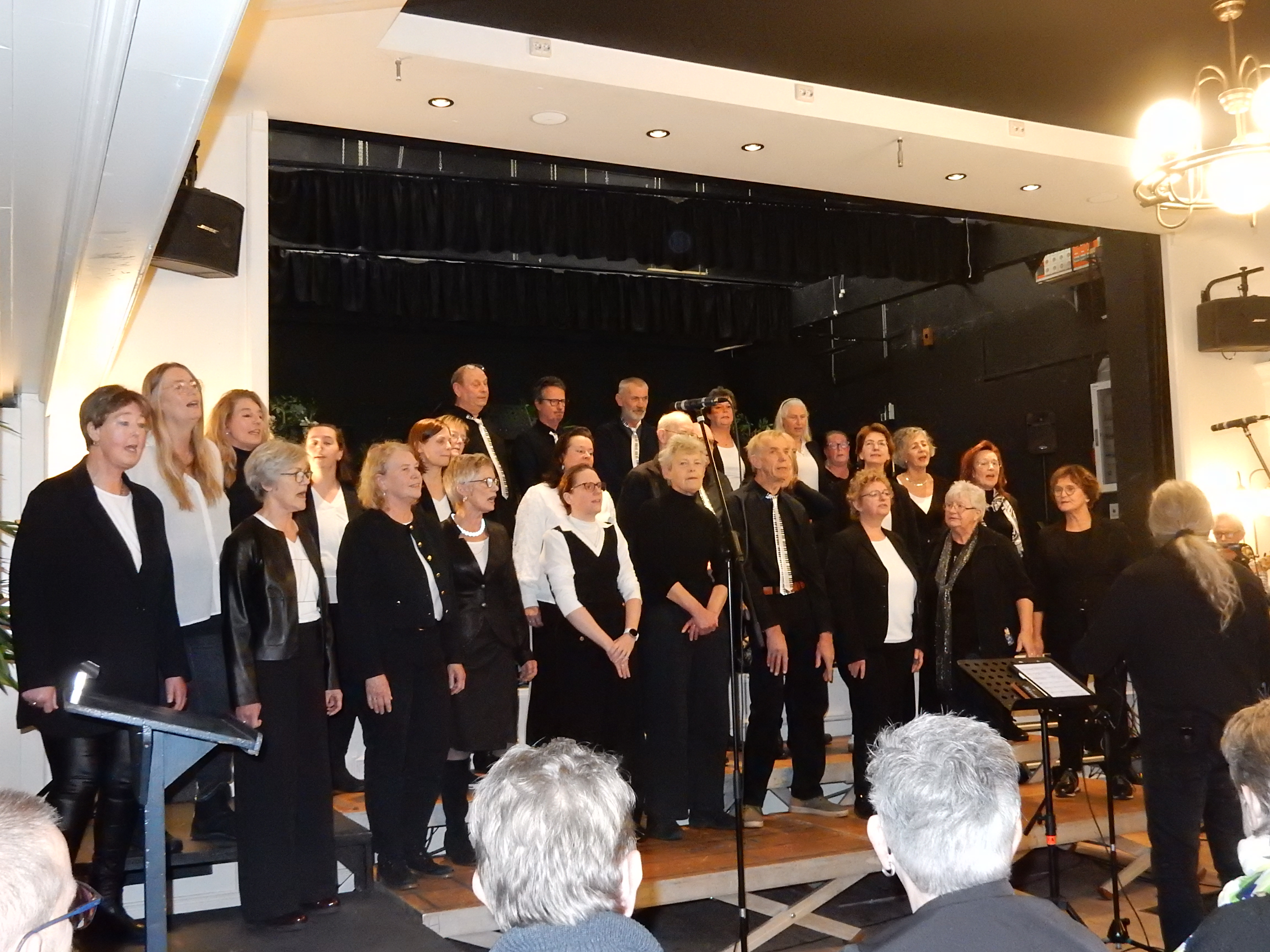 Optreden Festival Swaegh Zingt op 11 januari 2026 – foto 15