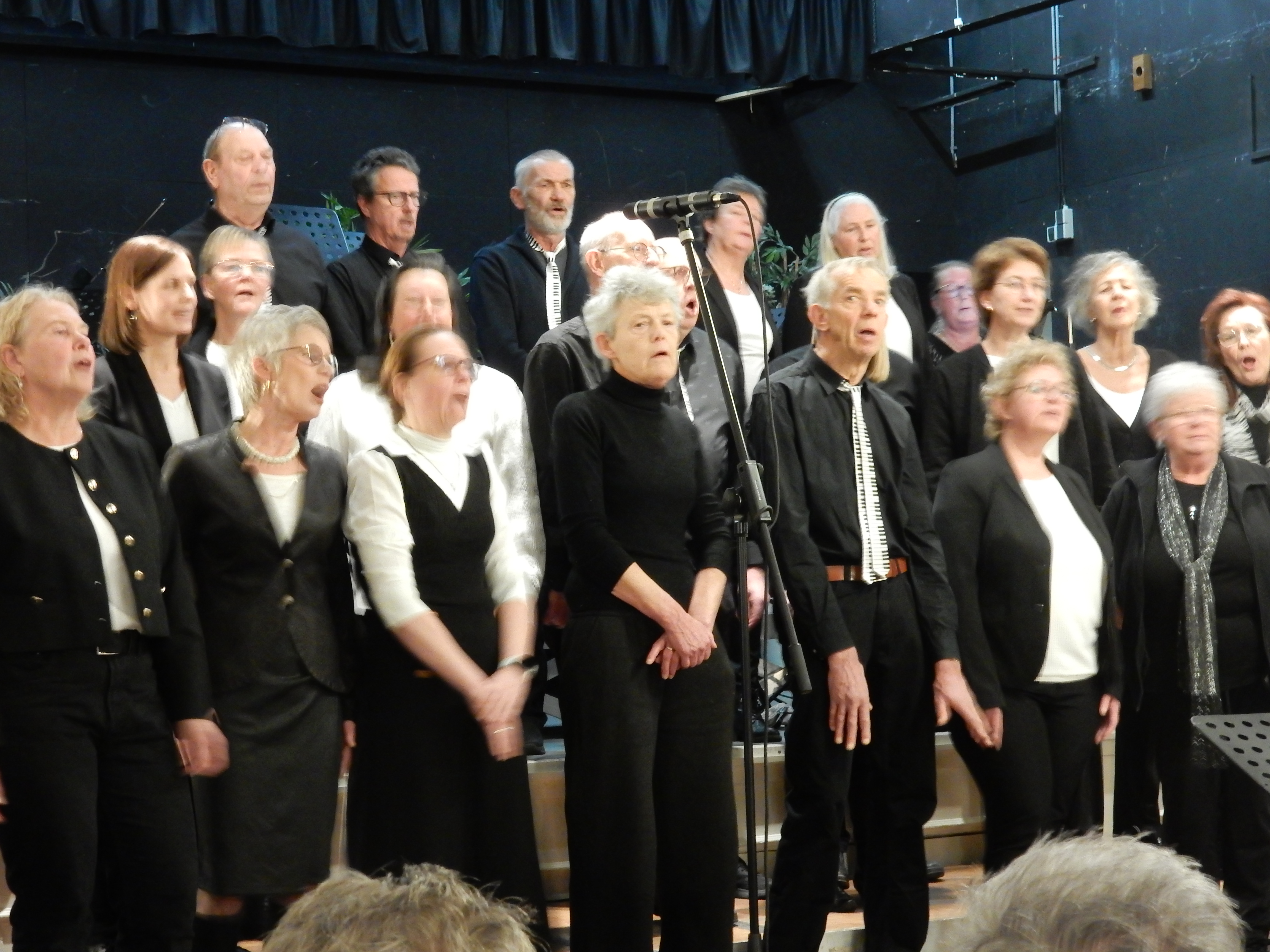 Optreden Festival Swaegh Zingt op 11 januari 2026 – foto 16